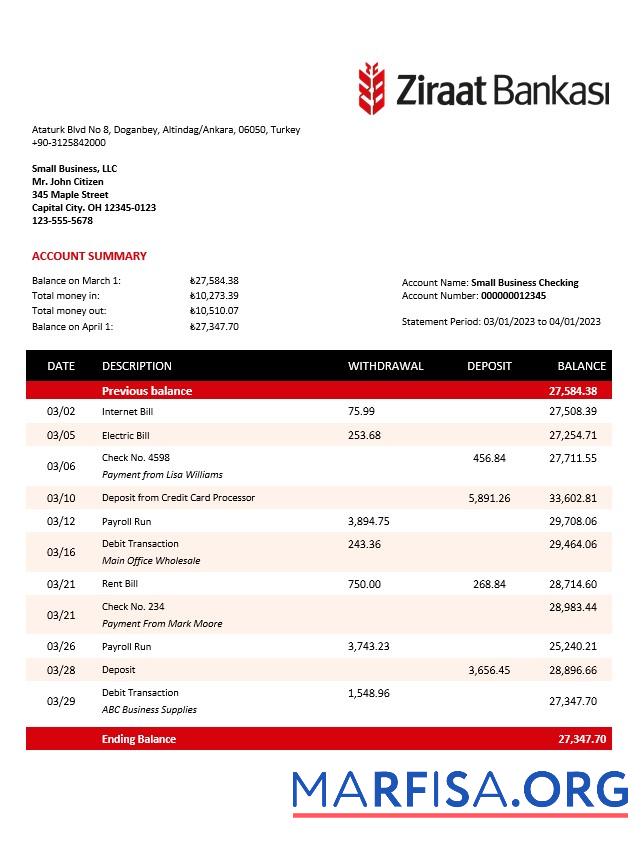 Realistic Ziraat Bankasi business checking account statement Word and PDF template